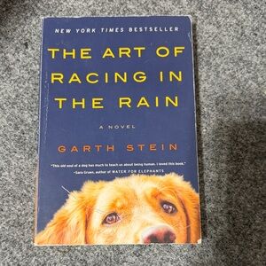 The art of dancing in the rain book